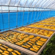 PXL_20251227_234157665